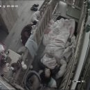 소중한 개 이미지