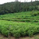 절골농장 이미지