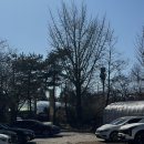 앞마당 | 과천 서울대공원 카페 | Apmadang(앞마당), 반려동물 동반 카페, 내돈내산 후기