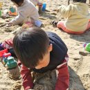 창말체육관 이미지