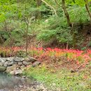 개울건너 스테이 이미지