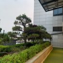 강남-289 이미지