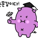엉순이순대국