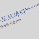 아모르 이미지