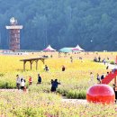 산소카폐 청송정원 (1) 이미지