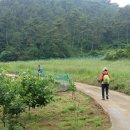 신촌정자경로당 이미지