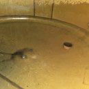 크리닝 114 이미지