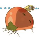 남매원예