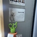 도림로 | 문래 증명사진 잘 찍는 곳 오찬석 사진공방 증명사진 풀패키지 촬영 후기