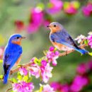 인터넷활용 이미지