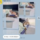 88사우나;88참숯불소금 | 가족 여행 모음.zip (체스터톤스속초/감나무집감자옹심이/동명항게찜/속초러닝/88생선구이/설악산케이블카)
