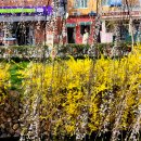 창녕 영산 만년교 이미지