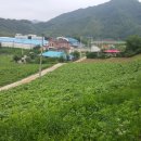정선부동산공인중개사사무소 이미지