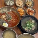 신비면옥 - 497 | 춘천명동 맛집 냉면 갈비탕 맛집 신비면옥 춘천명동점 재방문후기