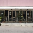 메종동물병원 | [원잇투 메종탄방] 대전에만 있는 꿈돌이산도 예약 후기