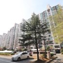 보람 공인중개사사무소 이미지