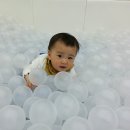 로뎀라운지 이미지