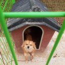 신기리마을회관 이미지