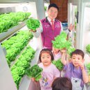 스마트팜 이미지