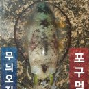 리틀자이언트호