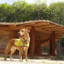 노을진바다 이미지