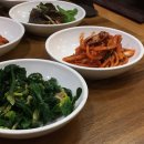 콩사랑왕국