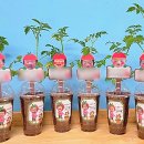 서구 중앙어린이집 이미지