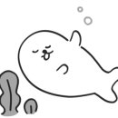 에이사이트썬팅