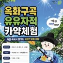 유유자적 엔디엔뉴스