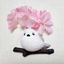 이든혜윰 이미지