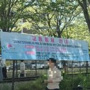 덕진-86 | 직접 가본 <2026 전주 이팝나무 축제> 첫째 날 실시간 개화 상황 &amp; 포토존 꿀팁 &amp; 주차장 🤍