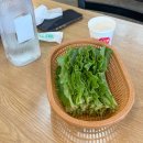 우렁이박사 | [당진] 우렁이박사 우렁쌈밥·제육볶음 내돈내산 후기