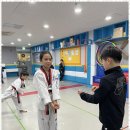 푸른태권도 이미지