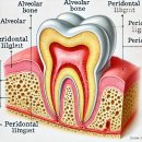 제신약국 이미지