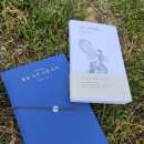 은성다실 | 비오는날 2박3일 하동여행 (남원 렌트, 지리산 치즈랜드, 정금다원, 메암제다원, 스타웨이 +맛집 후기들)