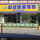 삼성동물종합병원 이미지