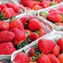 청춘과일 이미지