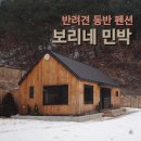 보리네민박(Borizzam_house) | [토레옹 여행] 강원도 인제 보리네 민박 여행 1일차, 반려견 동반 펜션, 중형견 펜션, 애견 펜션