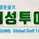 대성여행사