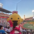 바이위즈 이미지