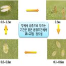 주간농사정보[ 제 51호, 2010.12.12 ~ 2010.12.18] 이미지