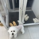 개운하개 이미지