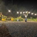 강변셀프장어집 이미지