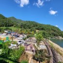 물안개 오토캠핑장 이미지