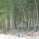 모후산산장