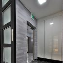 에코파인 이미지