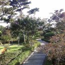 바다가 보이는 정원 이미지