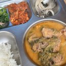 푸라닭 전남 해남점 | 얼씨/칭따오/카타르월드컵/라도헤어/코로나검사/푸라닭/코드그라피패딩/제줏간쌍촌점/진우네국수/담양...