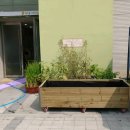 해여울어린이집 이미지