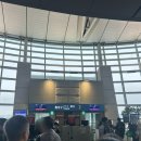 174 | 인천→삿포로 아시아나항공 OZ174 이코노미 기내식 탑승 후기